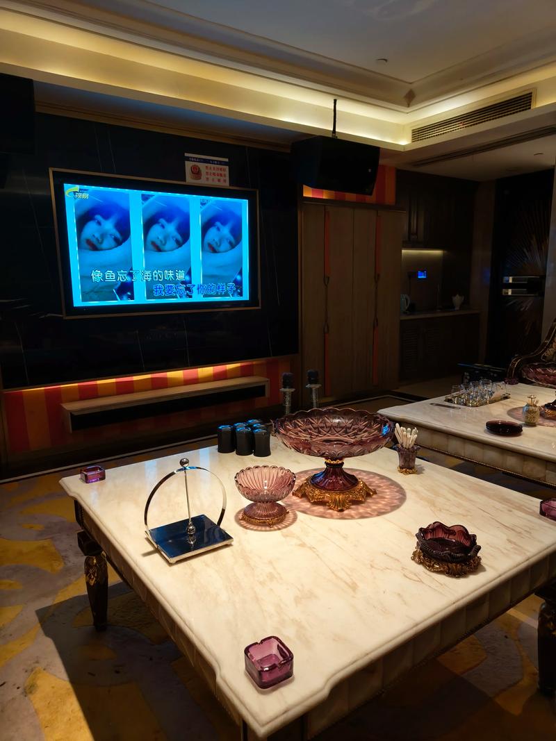 宜春商务ktv夜场商务ktv宣传全新体验-高安市ktv预订